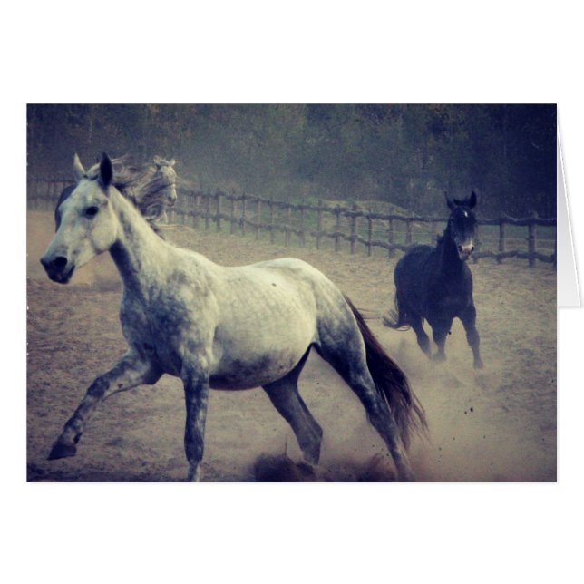 Gallop (Vorderseite (Horizontal))