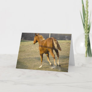 Gallop Away Karte