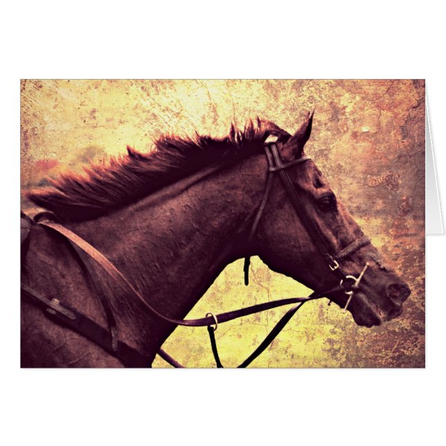 Gallop Grunge (Vorderseite (Horizontal))