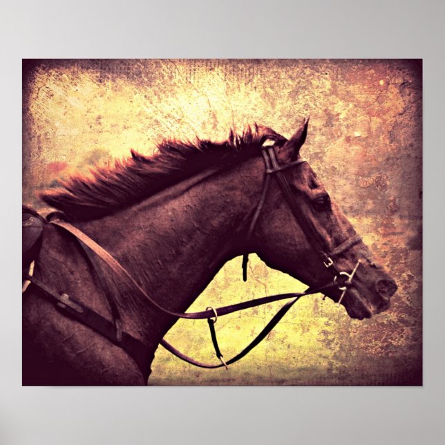Gallop Grunge Poster (Vorne)