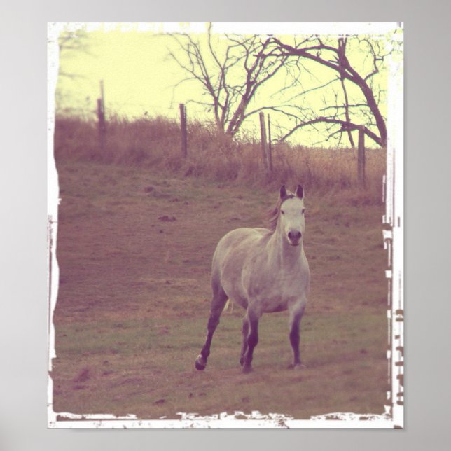 Gallop Poster (Vorne)