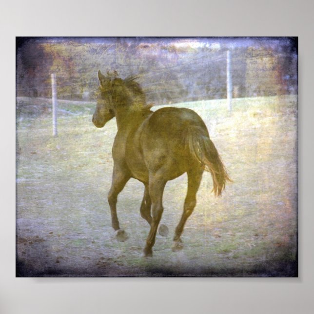 Gallop weg, Jack Poster (Vorne)