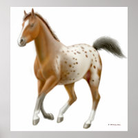 Galloping Appaloosa Pferdedrucke