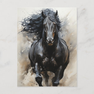 Galloping Black Horse Postcard Postkarte