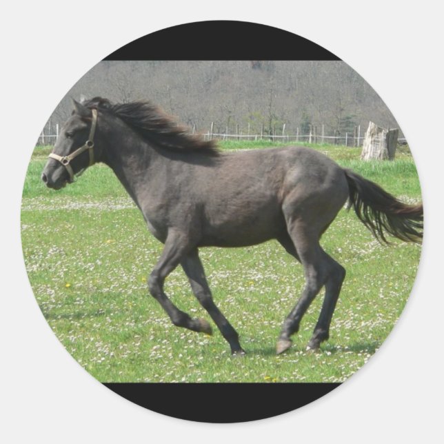 Galloping Colt Sticker (Vorderseite)