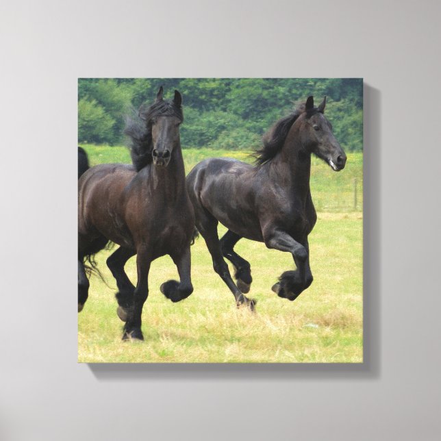 Galloping Friesian Horses Canvas Print Leinwanddruck (Vorderseite)