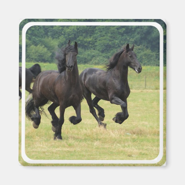 Galloping Friesian Horses Magnet (Vorne)