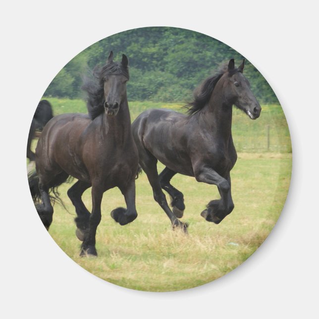 Galloping Friesian Horses Magnet (Vorne)