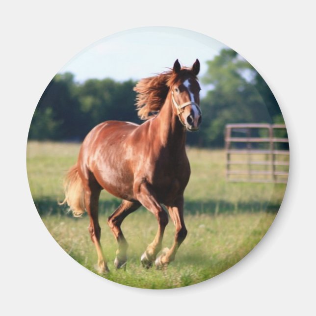 Galloping Horse Magnet (Vorne)