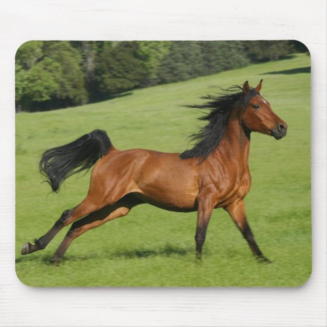 Galloping Horse Mousepad (Vorne)