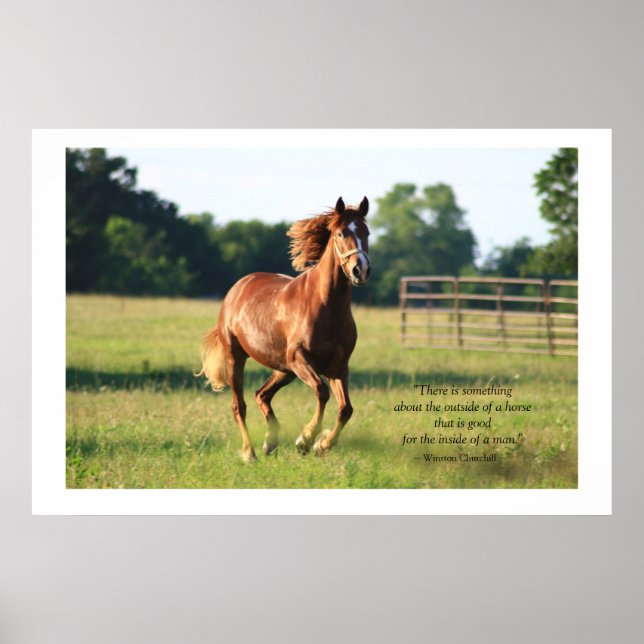 Galloping Horse Poster Print (Vorne)