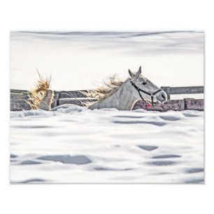 Galloping im Schnee Fotodruck