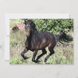 Galloping Kastanienpferd