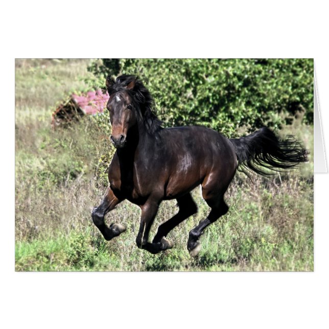 Galloping Kastanienpferd (Vorderseite (Horizontal))