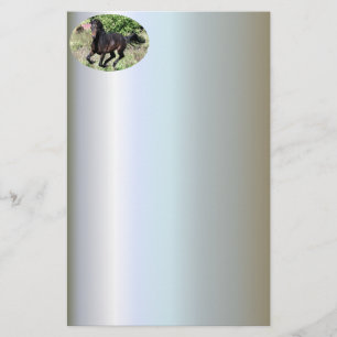 Galloping Kastanienpferd Briefpapier