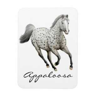 Galloping Leopard Appaloosa Pferd Premium Magnet