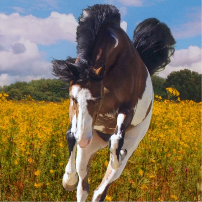 Galloping Paint Horse, Foto-Skulptur Freistehende Fotoskulptur (Vorne)