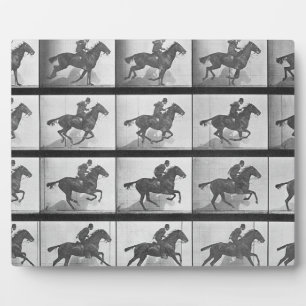 Galloping Pferd, Platte 628 von 'Animal Locomotion Fotoplatte