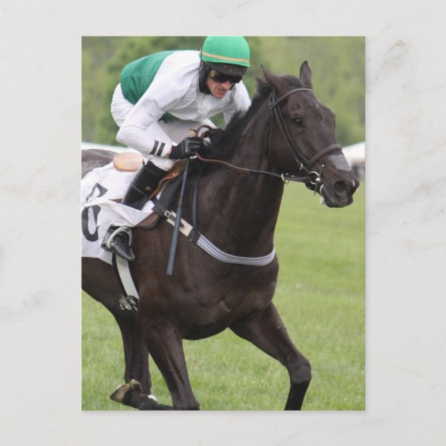 Galloping Race Horse Postcard Postkarte (Vorderseite)