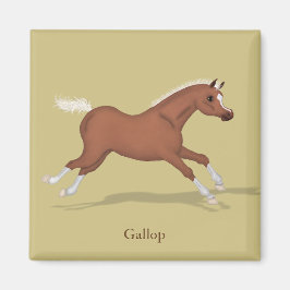 Galloping Sorrel Foal Gaits of the Horse Magnet