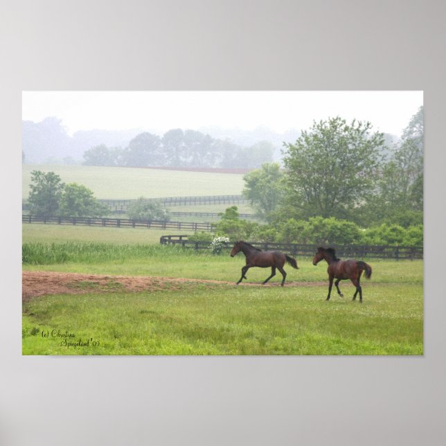 Galloping Standard Horses Poster (Vorne)