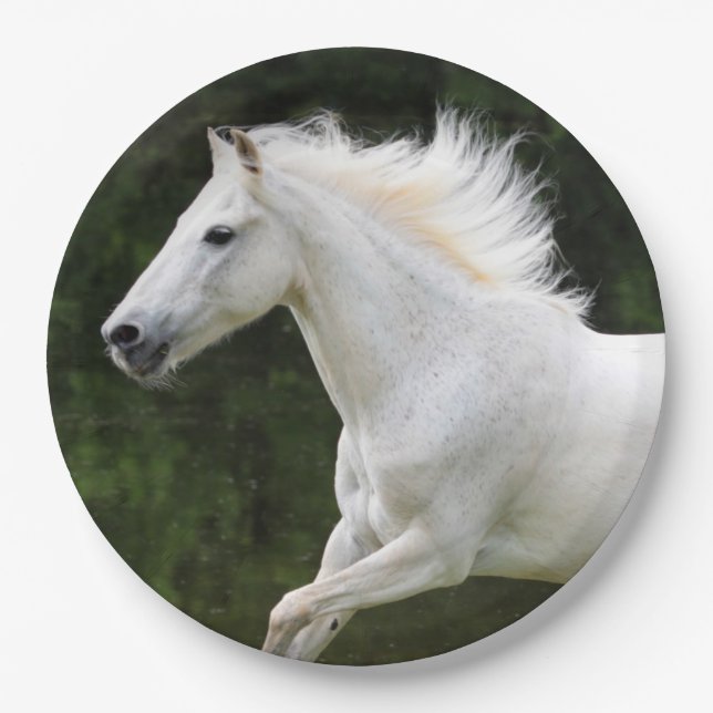 Galloping Weißes Pferd Pappteller (Vorderseite)