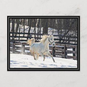 Galloping White Horse Postkarte