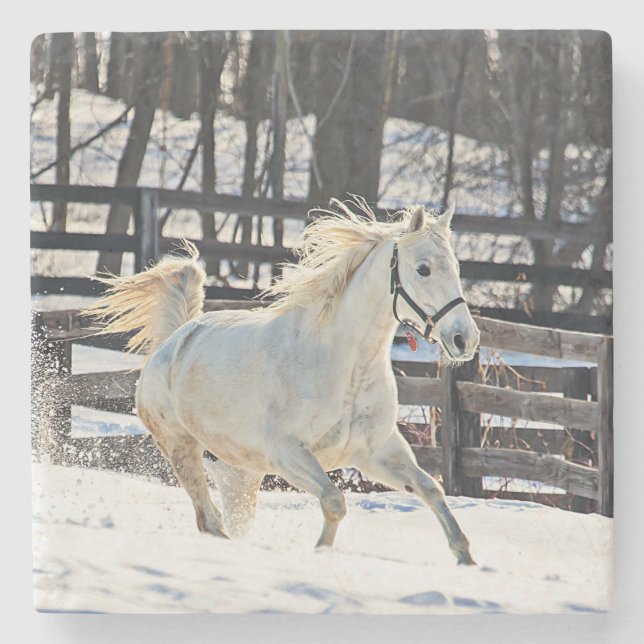 Galloping White Horse Steinuntersetzer (Vorderseite)