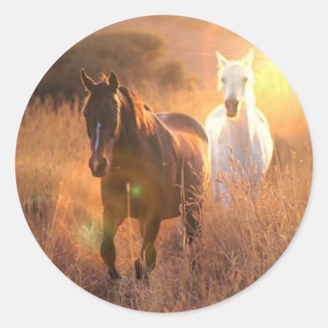 Galloping Wild Horses Stickers (Vorderseite)