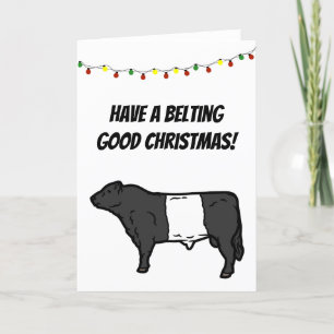 Galloway Beltie Kuh Globt Weihnachten Galloway Bel Karte