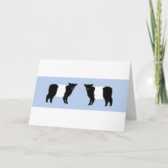 Galloway calf brthday card dankeskarte (Vorderseite)