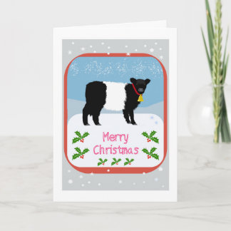 Galloway calf Christmas card Dankeskarte