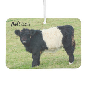 Galloway Calf Friseur Autolufterfrischer