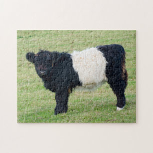 Galloway Calf Jigsaw Puzzle