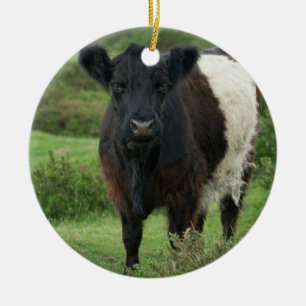 Galloway Cow Keramik Ornament