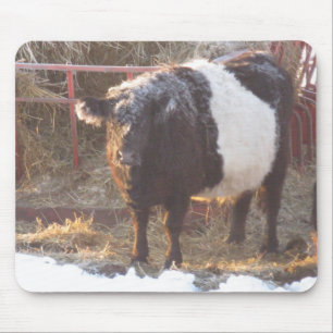 Galloway Kuh Mousepad