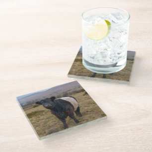Galloway Stehend Stolz auf Dartmoor Farmlan Glasuntersetzer