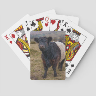 Galloway Stehend Stolz auf Dartmoor Farmlan Spielkarten