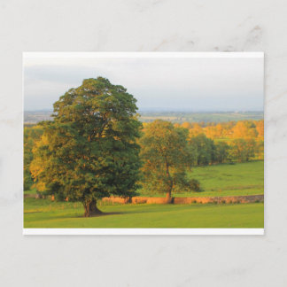 GALLOWS HILL POSTKARTE