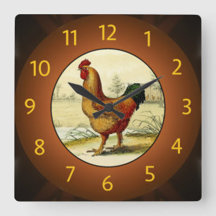 Gallus Domesticus (Hahn) Küche - Quadratische Wanduhr