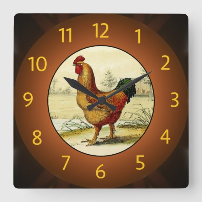 Gallus Domesticus (Rooster) Küche - Quadratische Wanduhr (Vorderseite)