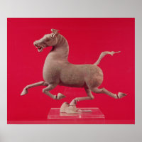 Galoping Pferd mit einem Hoof Resten auf einem