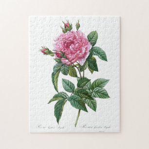 Galtische rosa Rosenblüte alte Vintage-Illustratio Puzzle