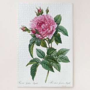 Galtische rosa Rosenblüte alte Vintage-Illustratio Puzzle