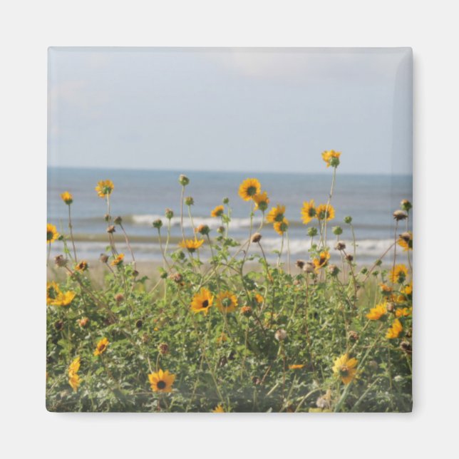 Galveston Island Beach Blume Magnet (Vorne)