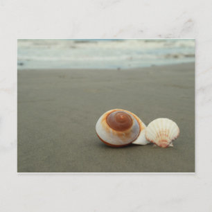 Galveston Island Postcard Postkarte