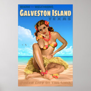 Galveston Island Texas Reiseplakat Seeadler Poster