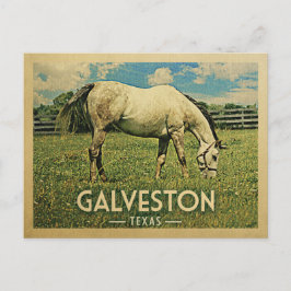 Galveston Texas Horse Farm - Vintage Travel Postkarte