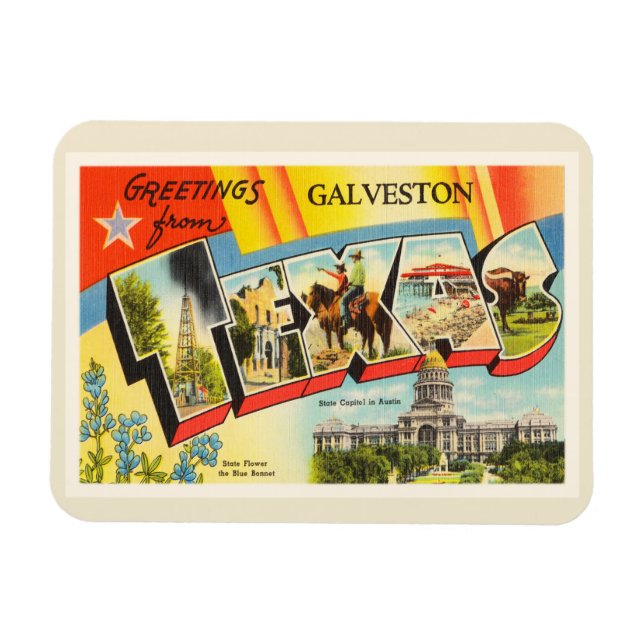 Galveston Texas TX Old Vintage Travel Souvenir Magnet (Horizontal)