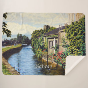 Galway City Ireland Landschaftlich Canal View Sherpadecke